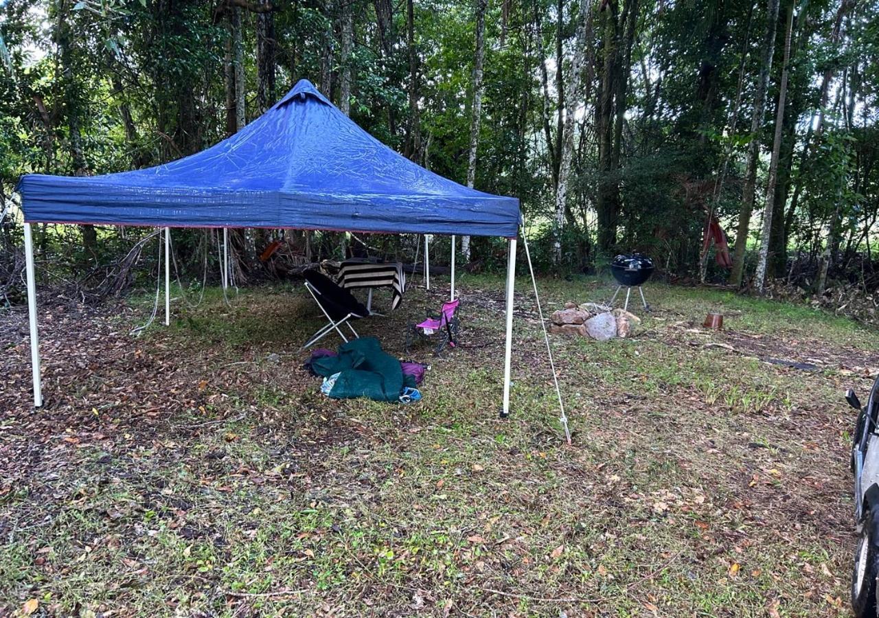 Sunshine Coast Retreat Your Own Private Golf Course Diddillibah Exterior photo